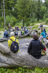 lauschig unterwegs – Waldspaziergang mit Yusuf Yeşilöz (ausverkauft)