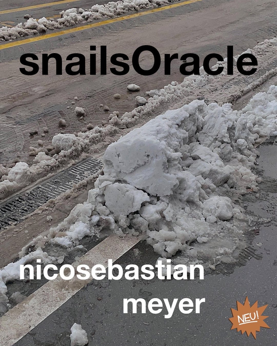 snailsOracle – Nico Sebastian Meyer